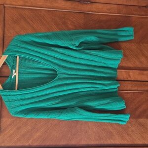 Kelly Green V Neck